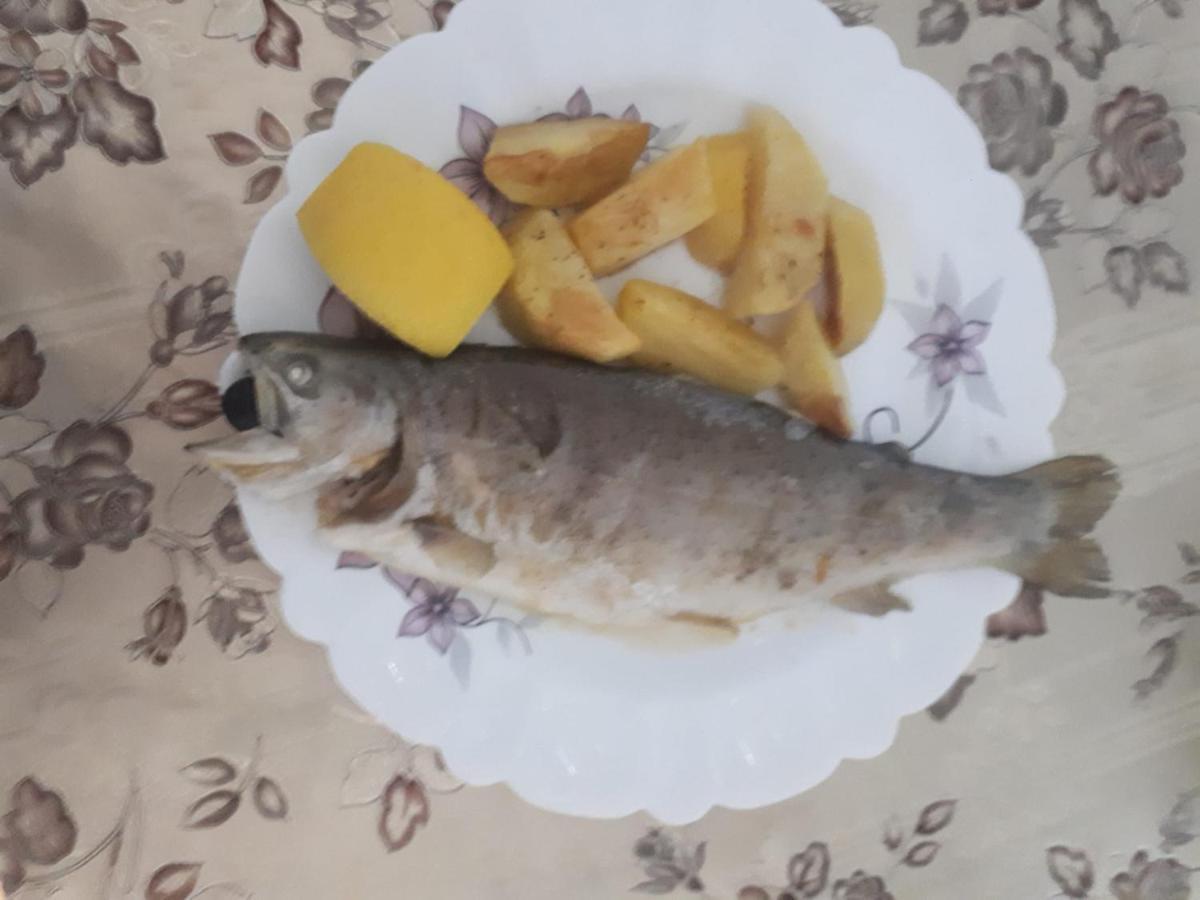 Willa Casa Ionel Si Dani Fundata Zewnętrze zdjęcie