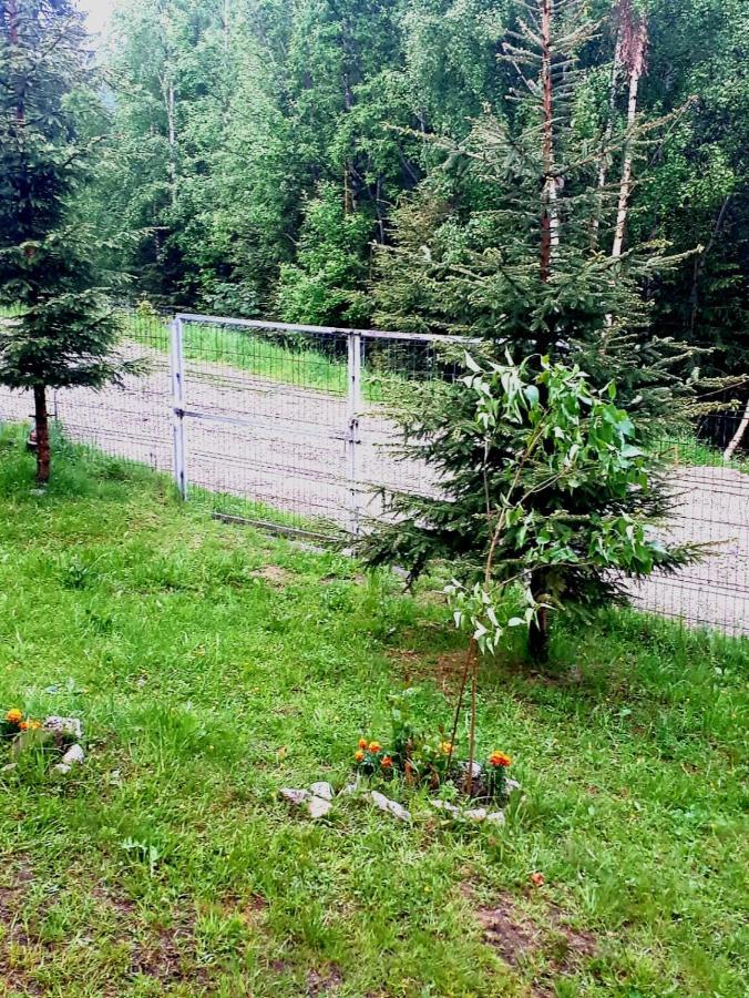 Willa Casa Ionel Si Dani Fundata Zewnętrze zdjęcie
