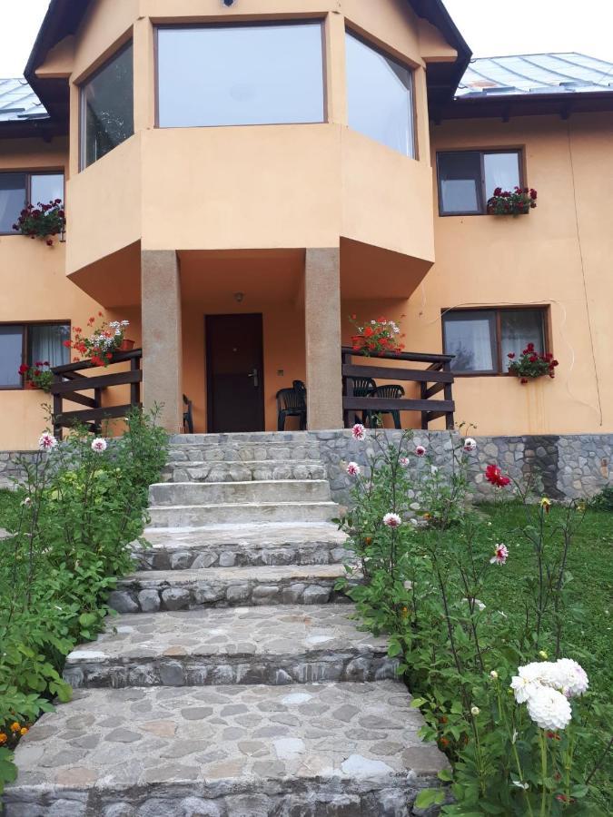 Willa Casa Ionel Si Dani Fundata Zewnętrze zdjęcie