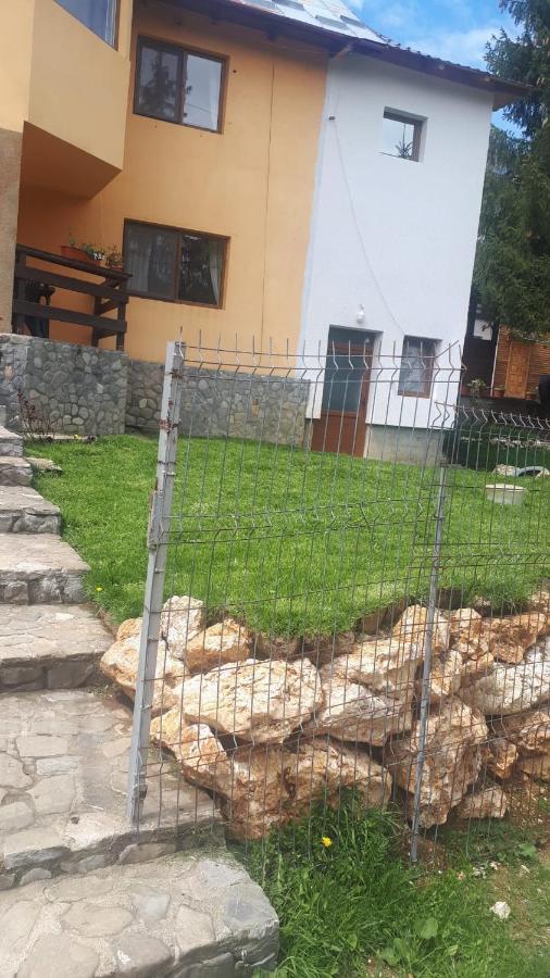 Willa Casa Ionel Si Dani Fundata Zewnętrze zdjęcie
