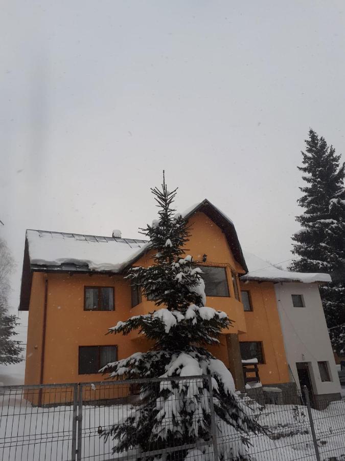 Willa Casa Ionel Si Dani Fundata Zewnętrze zdjęcie